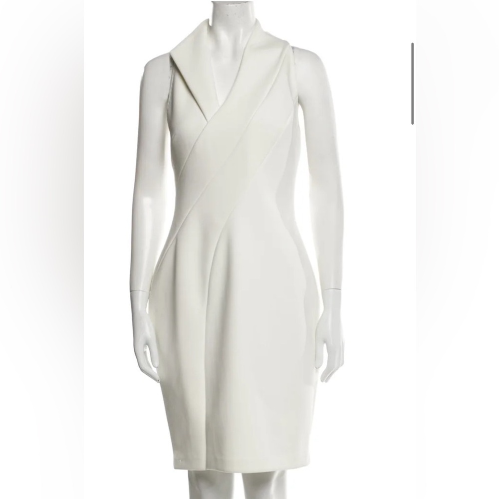 Ted Baker Sheath Dress
